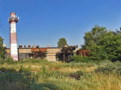 Воронежскую опытную сельскохозяйственную станцию купили за 1,2 млрд рублей