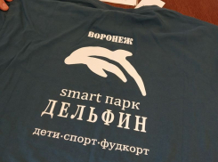 Стали известны будущие параметры обновленного парка «Дельфин» в Воронеже