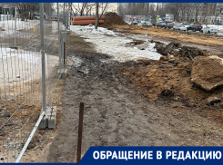 Обратную сторону реконструкции улицы показали в Воронеже  