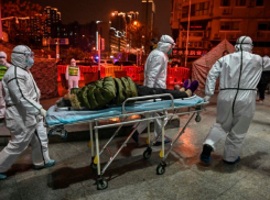 Смертельный рекорд установил COVID-19 за сутки в Воронежской области 