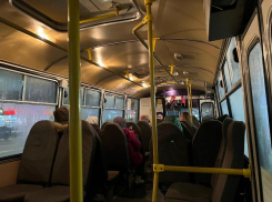 Названы два перевозчика, которые саботировали выпуск автобусов в Воронеже 