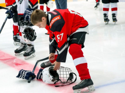 На Придаченской дамбе в Воронеже открылась хоккейная академия клуба «Авангард»