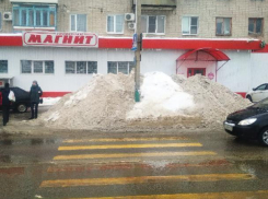 Коммунальную «деградацию» Воронежа связали с уходом Алексея Гордеева