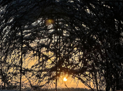 От слякоти к морозу: как воронежская погода сделает резкий поворот