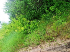Голого новорождённого мальчика нашли в лесополосе под Воронежем