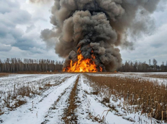 Упавший в Таловском районе фрагмент боеприпаса уничтожат на месте падения в Воронежской области