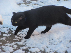 Температурные качели раскачают Воронеж на рабочей неделе 