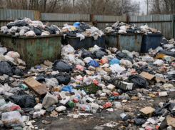 Суд наказал администрацию Борисоглебска за нечистоплотность 