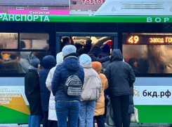 Адское утро воронежцев на «Бульваре Победы» прокомментировал чиновник мэрии 