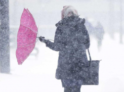 Спасатели предупредили воронежцев об усилении ветра