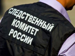 Стали известны подробности смерти 18-летней воронежской студентки