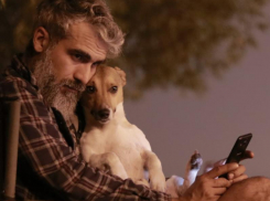 Блогер-путешественник и пес Ричи прибыли в Воронеж на мини-караване 