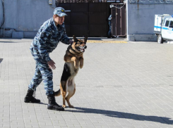 В соседней Курской области вводят желтый уровень террористической опасности в связи с обстановкой вокруг Украины 
