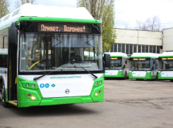Воронежских автобусных «зайцев» теперь будет выявлять камера видеонаблюдения