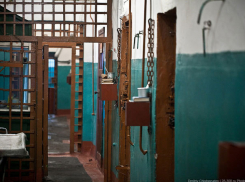 Воронежский суд на 12 лет осудил Кувалдина за изнасилование пенсионерок и похищение 10-летней девочки