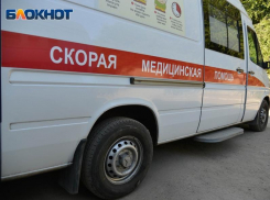 После укуса змеи 13-летний мальчик оказался в реанимации под Воронежем