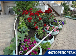 Космическую сумму из своего кармана потратила женщина на красоту под окнами воронежцев  