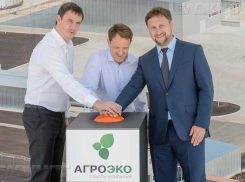 «Макин» указал на зятя Алексея Гордеева в «Агроэко»