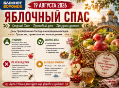 Яблочный Спас-2026 в Воронеже: традиции, приметы и что нельзя делать 19 августа