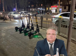 Данностью, с которой бессмысленно бороться, назвал самокатчиков мэр Воронежа