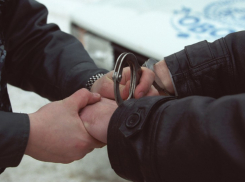 В Воронежской области задержали педофила