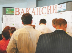 В Воронежской области самыми популярными вакансиями стали бухгалтер, инженер и водитель