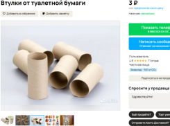 Туалетные втулки начали продавать за деньги в Воронеже 