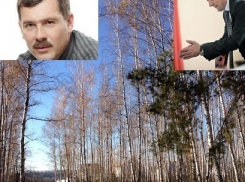 Воронежские коммунисты жестко раскритиковали поселок, в котором живет Александр Гусев