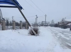 Неудобные вопросы местным властям задали воронежцы, ставшие заложниками нерадивого перевозчика