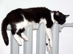 В Воронеже пока что без отопления остаются 15 домов