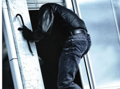 В Воронежской области глава сельского поселения заставила вора вернуть украденное