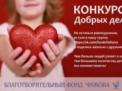 «Благотворительный фонд Чижова» запустил «Конкурс добрых дел»