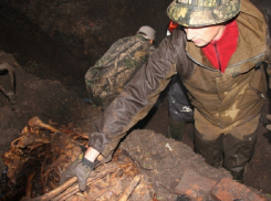 Установлены имена трех красноармейцев, чьи останки нашли в Воронеже