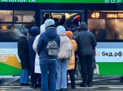 «Зачем это выложили?» Воронежское министерство задало странный вопрос после обращения к пассажирам