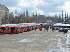 Опубликовано фото новых воронежских автобусов за 350 млн рублей