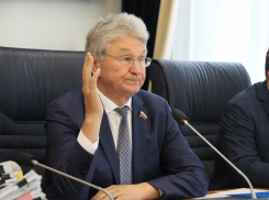 68-летний единоросс Владимир Ходырев решил переизбраться в Воронежскую гордуму