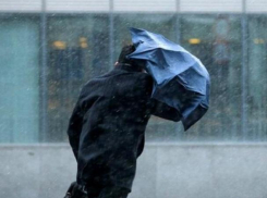 Желтый уровень опасности из-за погоды объявили в Воронежской области