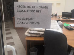 Силовики ждут команды сверху: сколько миллионов «распилило» воронежское АИР