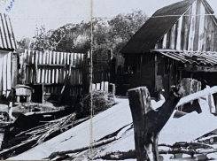 62-летнюю женщину осудят за зверское нападение на семью в 1998 году в воронежском селе 