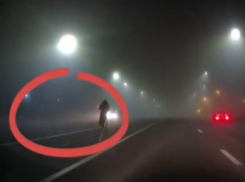 Загадочный силуэт на дороге сняли в туманном Воронеже