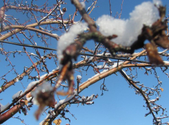 Какая погода ждет воронежцев в начале рабочей недели, рассказали синоптики