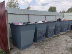 Флаги западных стран и Украины исчезли с мусорных баков в воронежском селе