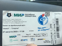 Почему не надо покупать билеты у перекупов, рассказал болельщик воронежского «Факела»