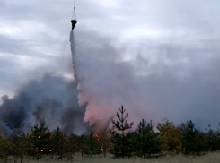 Профессиональную работу авиации над бушующим огнем показали воронежские спасатели 