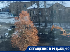 Ради частной парковки в Воронеже уничтожили сквер с деревьями