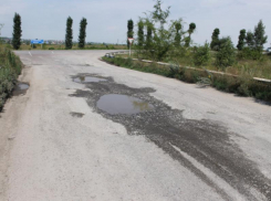 Чиновникам предложили вложиться в чудовищную дорогу под Воронежем