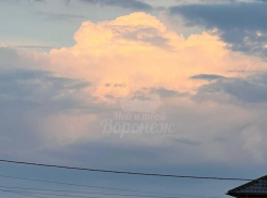 Необычный силуэт заметили в небе над Воронежем