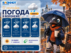 Льёт как из ведра: прогноз погоды в Воронеже