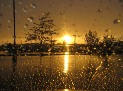 Воронежцев на рабочей неделе ждут дожди и жара 