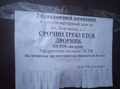 Зарплата дворника на уличном объявлении удивила жителей Воронежа 
